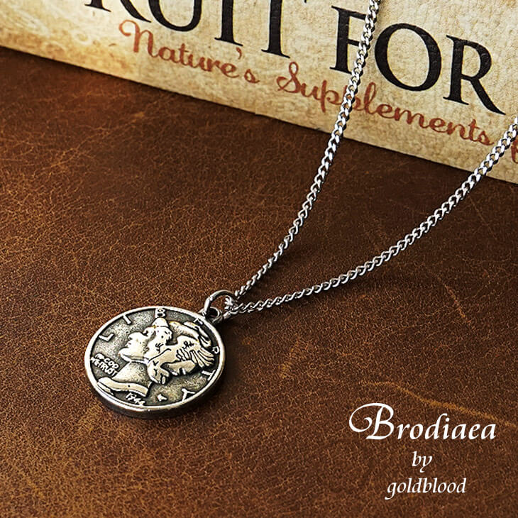 リバティコインスチールネックレス