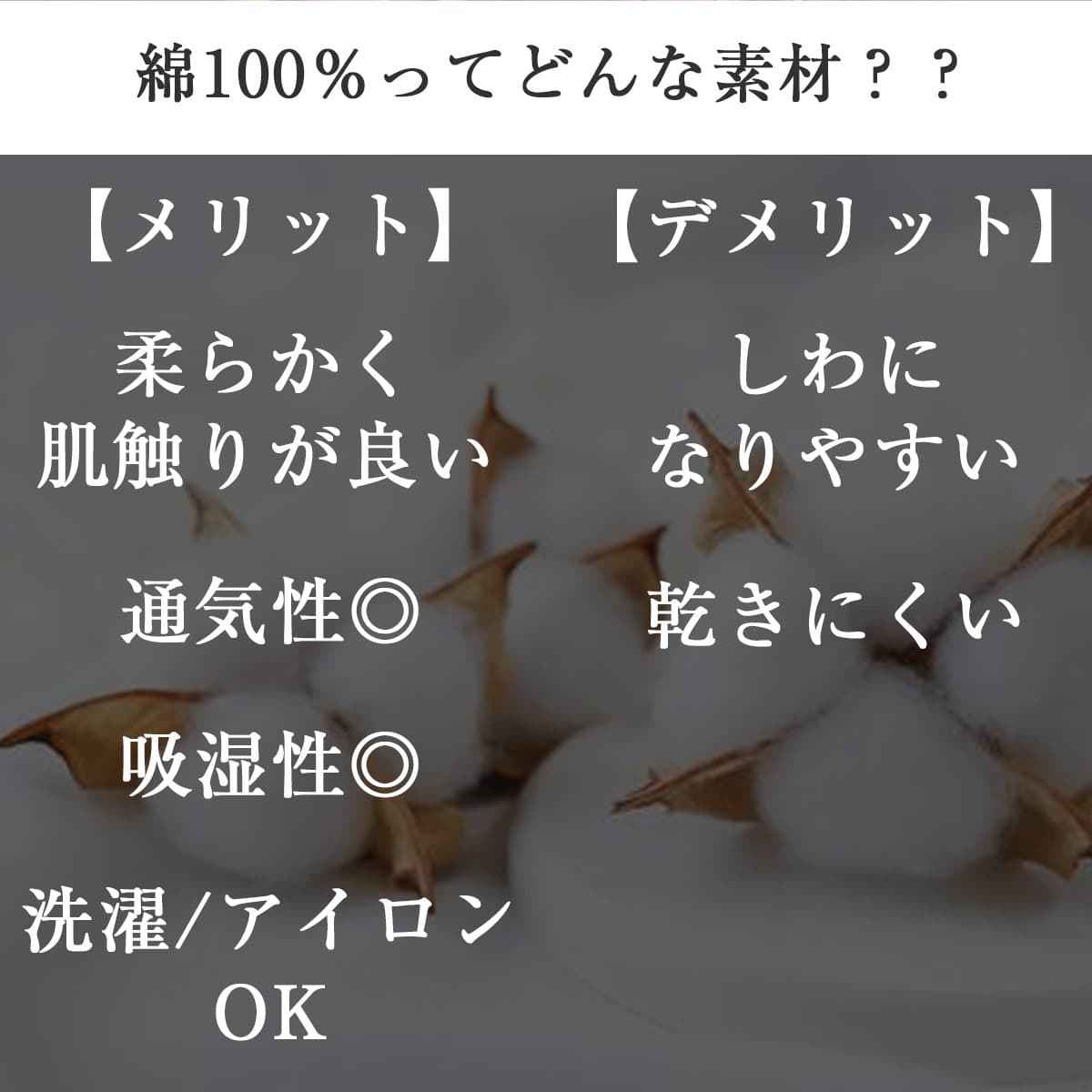 知っておきたい綿100％のこと、Ｔシャツ多数取り扱い中。