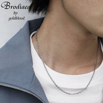 【メール便送料無料】【Brodiaea】スリムチェーンネックレス