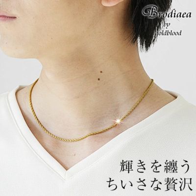 【メール便送料無料】スパイラルチェーンネックレス【Brodiaea】